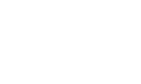 Digital Team - Web Expert Associé - Logo